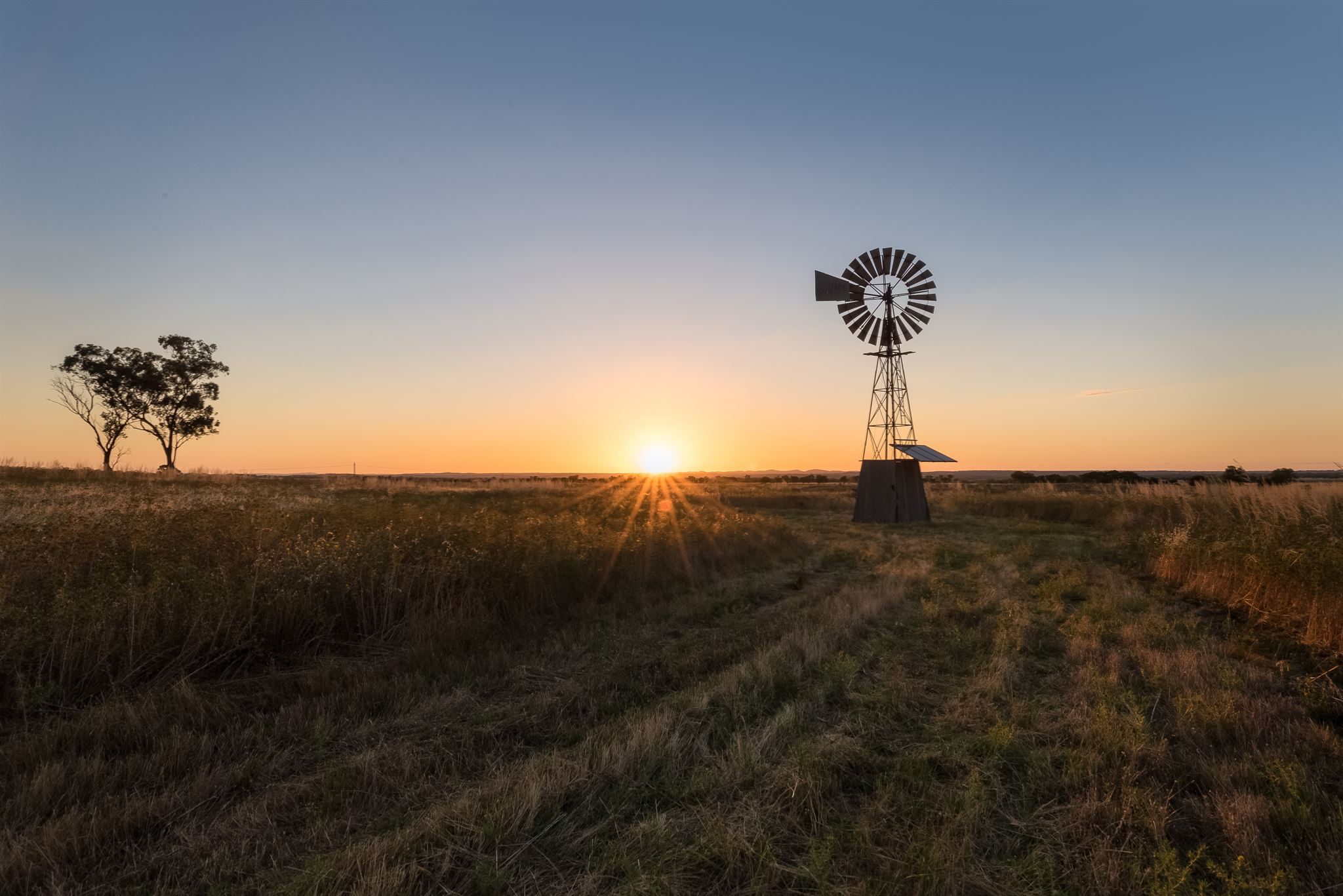 Farm-field-in-golden-twilight